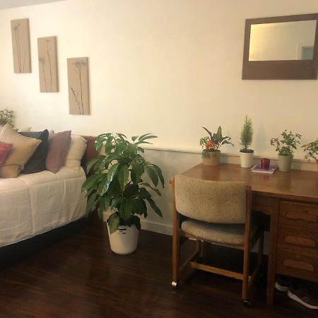Quiet-Comfy 3 Bedroom Home On A Tree Lined Street In Kits 溫哥華 外观 照片