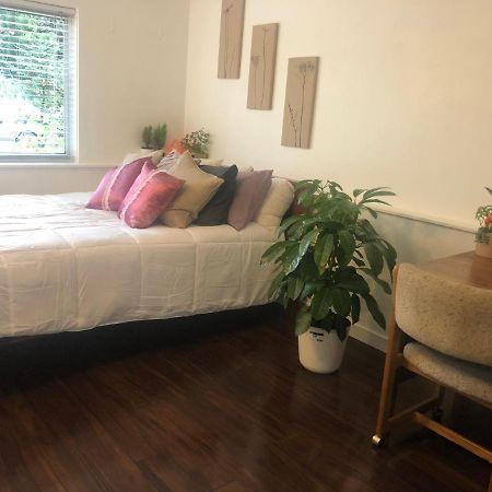 Quiet-Comfy 3 Bedroom Home On A Tree Lined Street In Kits 溫哥華 外观 照片