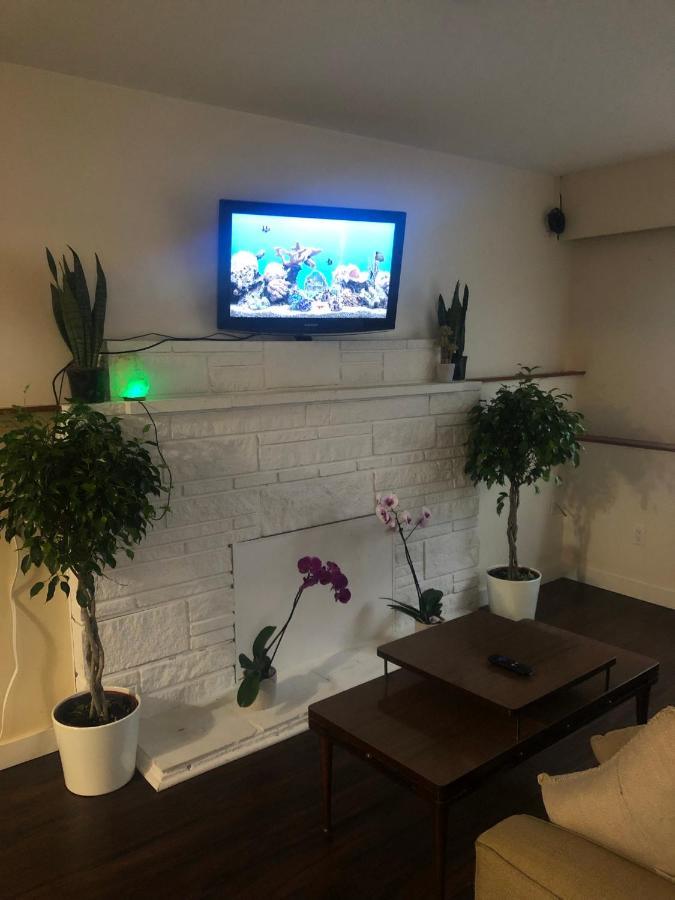 Quiet-Comfy 3 Bedroom Home On A Tree Lined Street In Kits 溫哥華 外观 照片