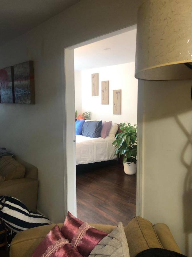 Quiet-Comfy 3 Bedroom Home On A Tree Lined Street In Kits 溫哥華 外观 照片