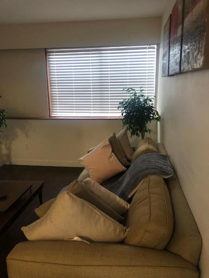Quiet-Comfy 3 Bedroom Home On A Tree Lined Street In Kits 溫哥華 外观 照片