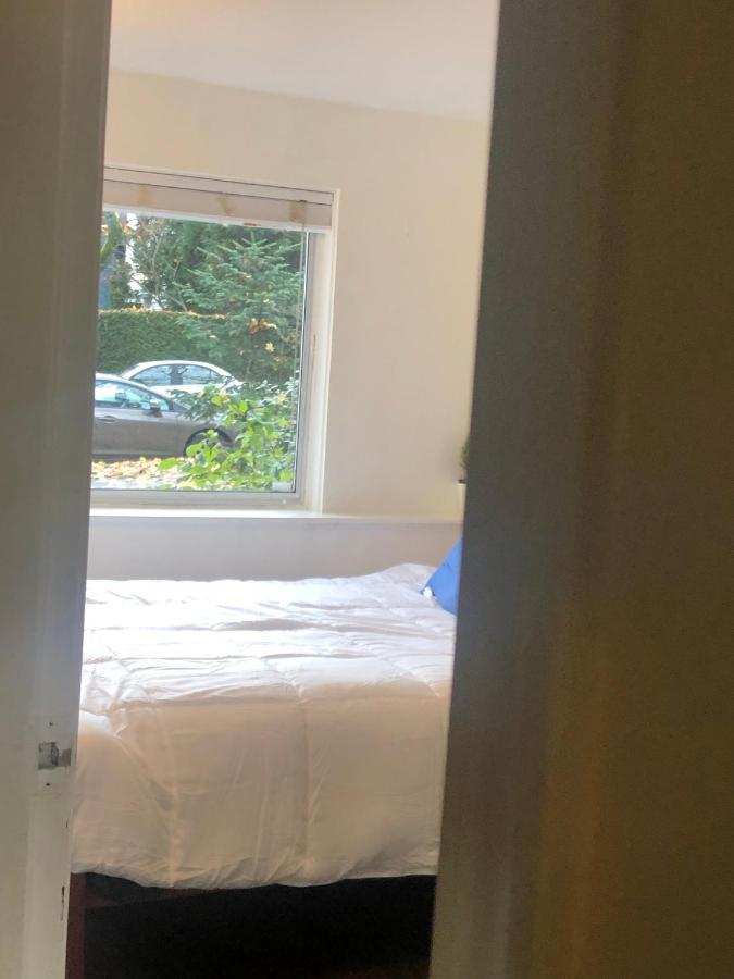 Quiet-Comfy 3 Bedroom Home On A Tree Lined Street In Kits 溫哥華 外观 照片