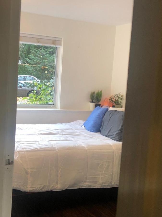 Quiet-Comfy 3 Bedroom Home On A Tree Lined Street In Kits 溫哥華 外观 照片