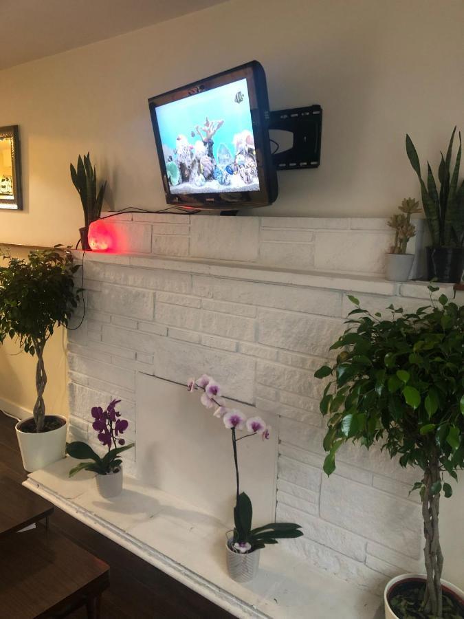 Quiet-Comfy 3 Bedroom Home On A Tree Lined Street In Kits 溫哥華 外观 照片