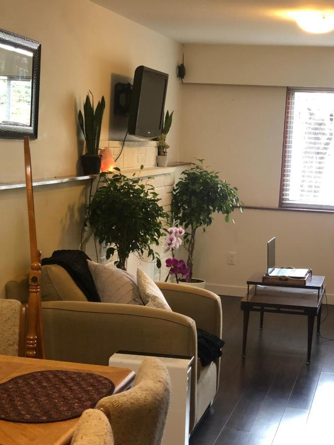 Quiet-Comfy 3 Bedroom Home On A Tree Lined Street In Kits 溫哥華 外观 照片